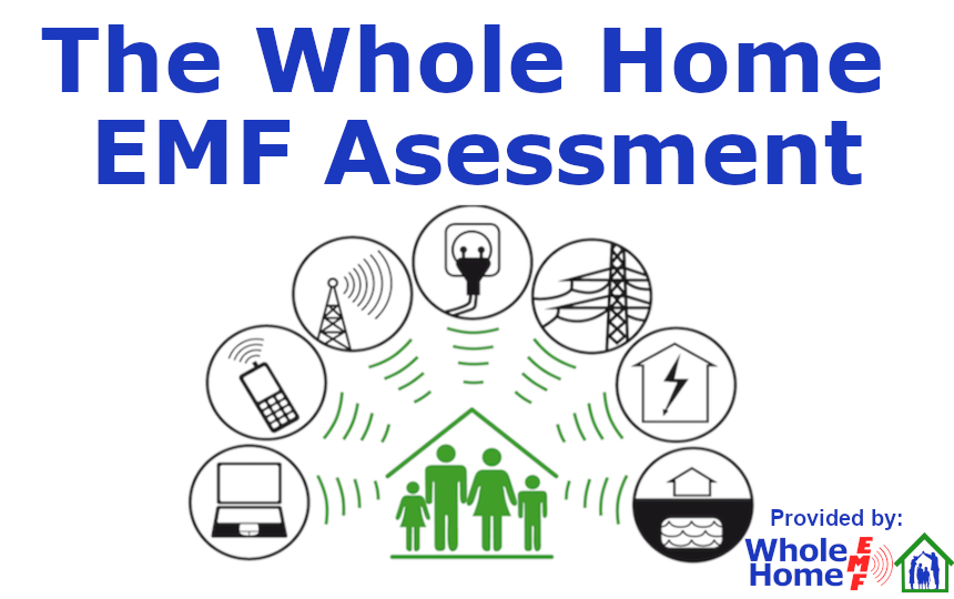 The Whole Home EMF Assessment